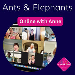 Ants & Elephants (Body Doubling)